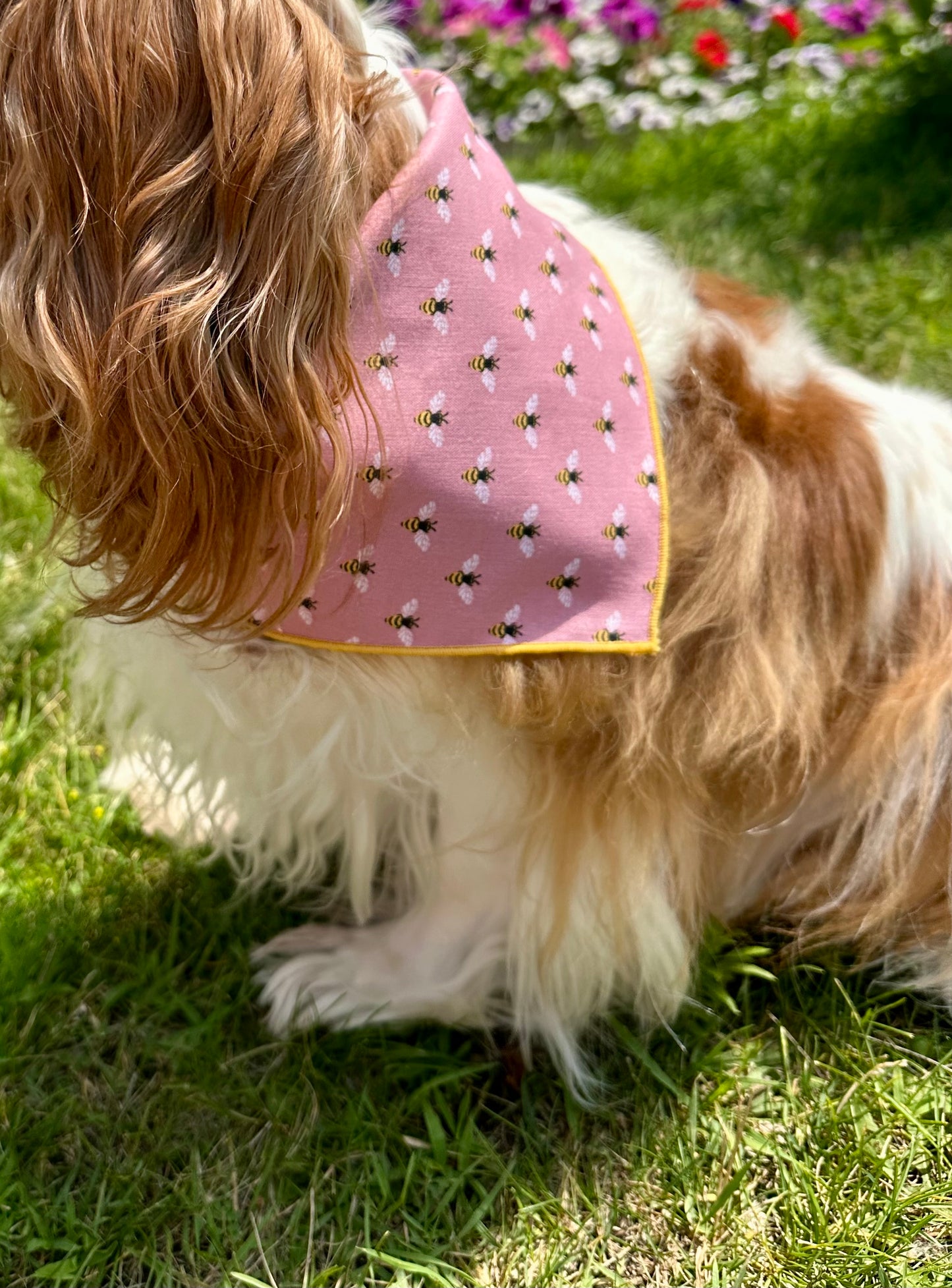 Busy Bee Dog Bandana | Gold Hem