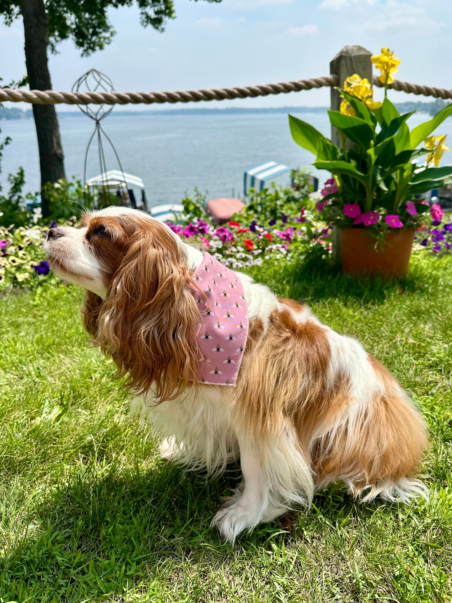 Busy Bee Dog Bandana | Light Pink Hem