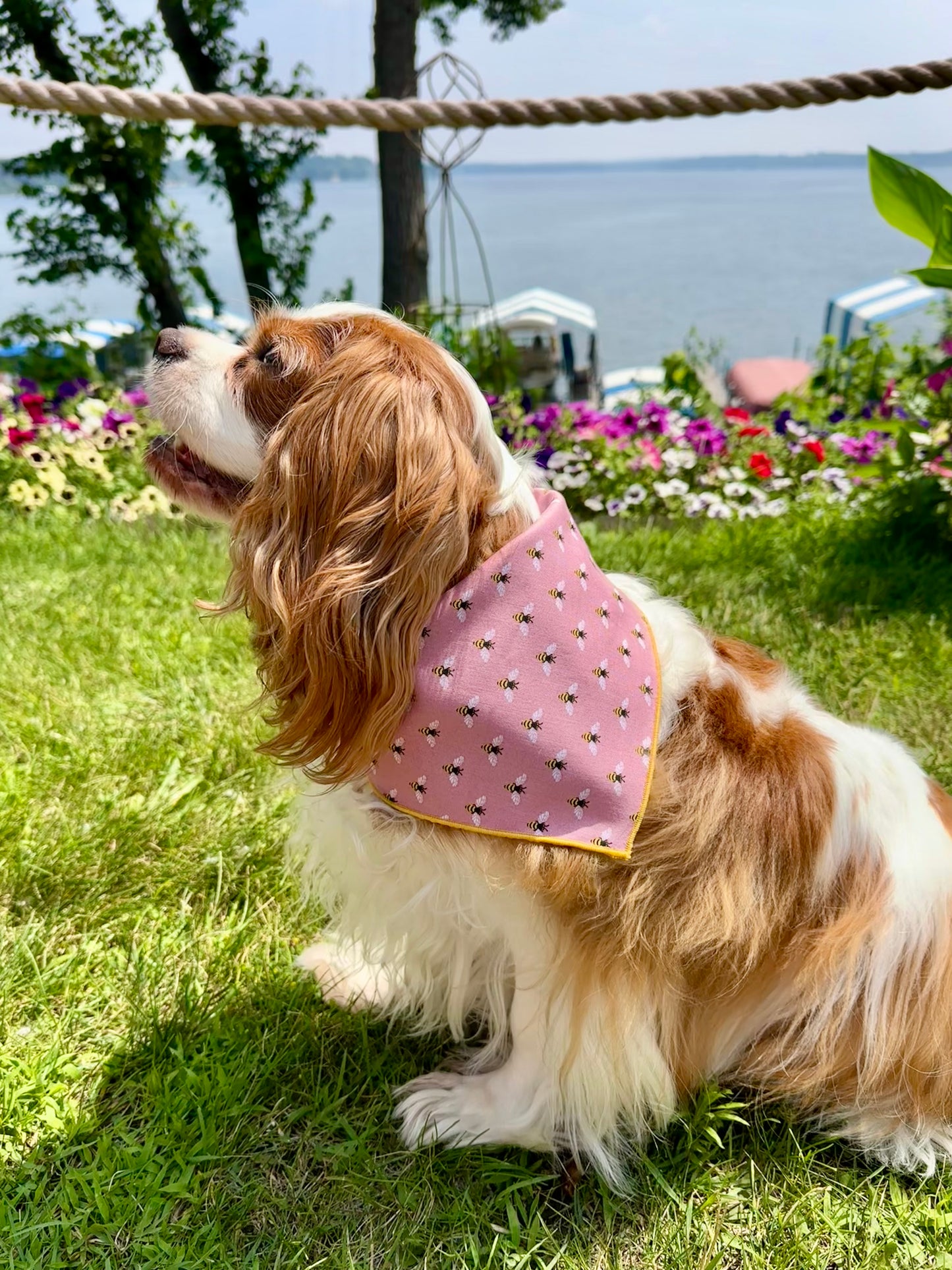 Busy Bee Dog Bandana | Gold Hem