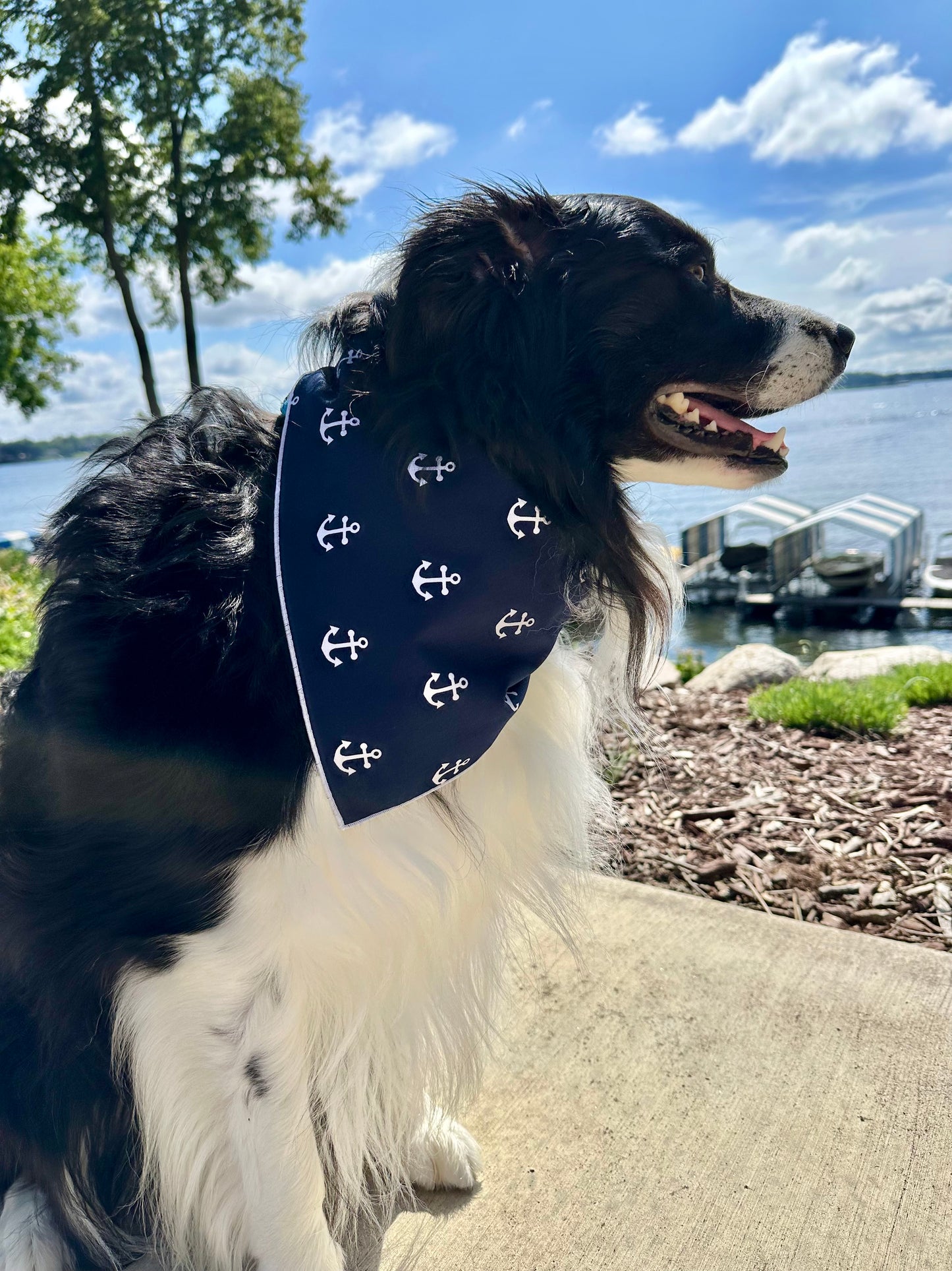 Anchors Aweigh Dog Bandana
