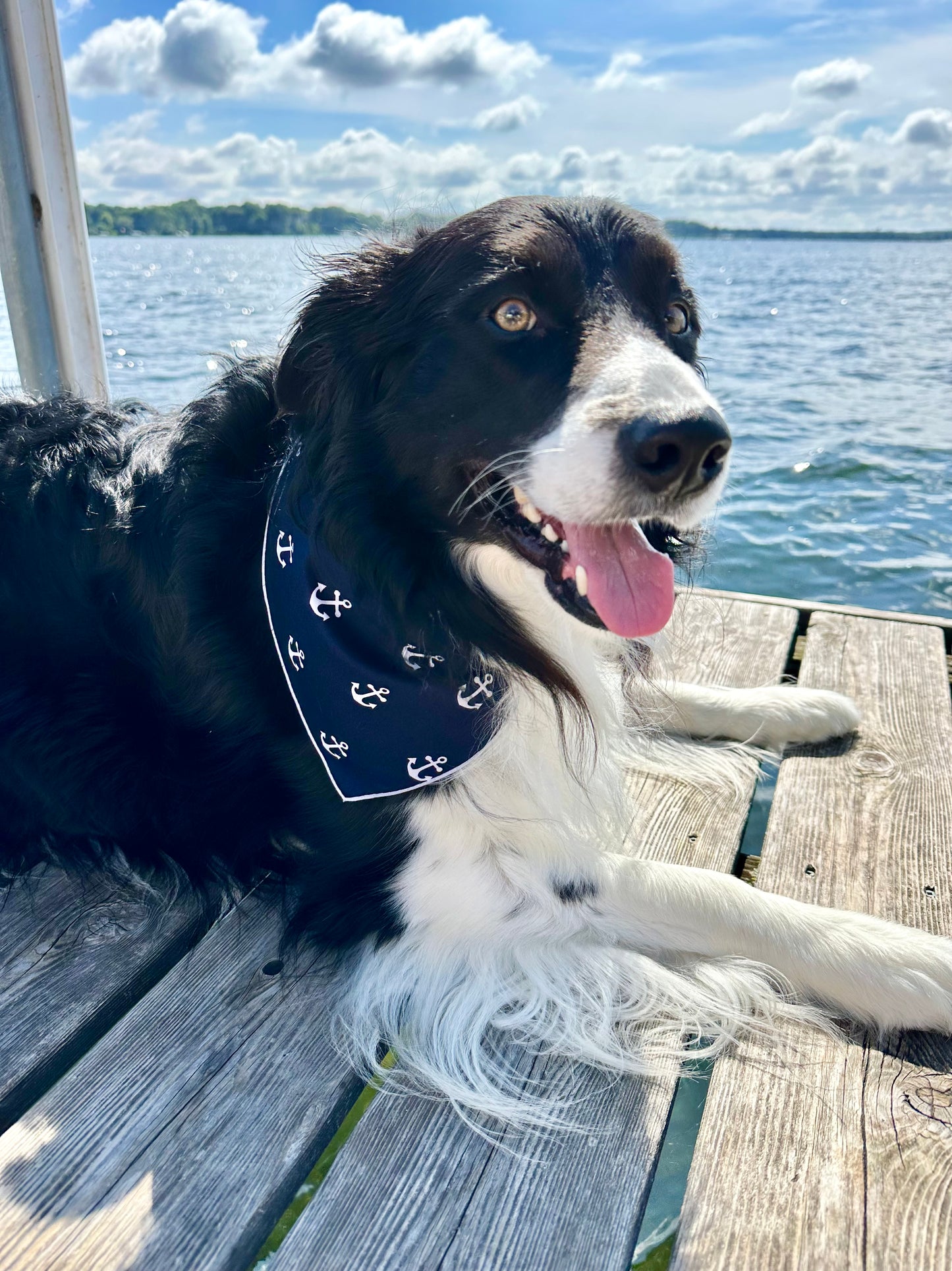 Anchors Aweigh Dog Bandana
