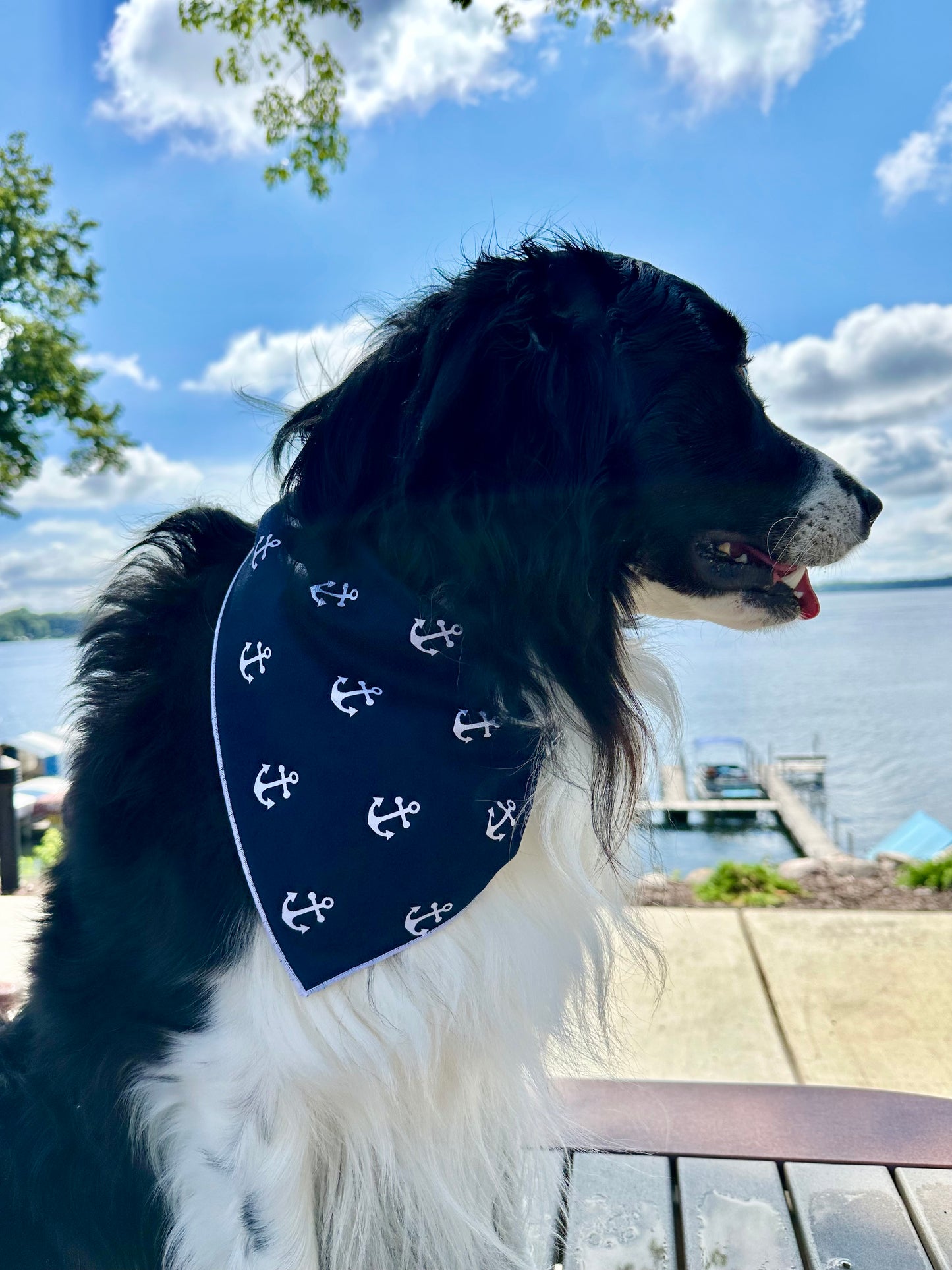 Anchors Aweigh Dog Bandana