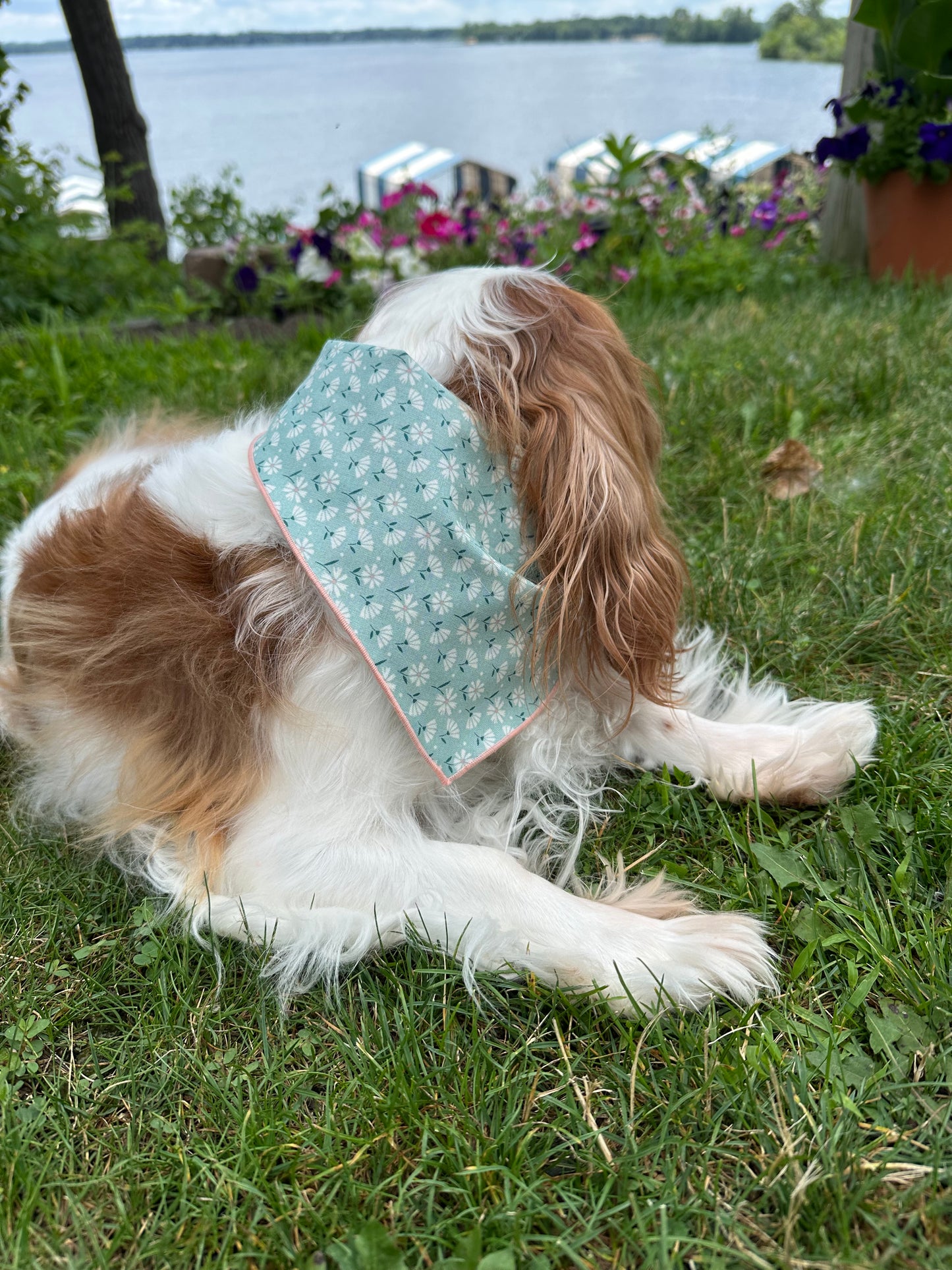 Meadow Bloom Dog Bandana