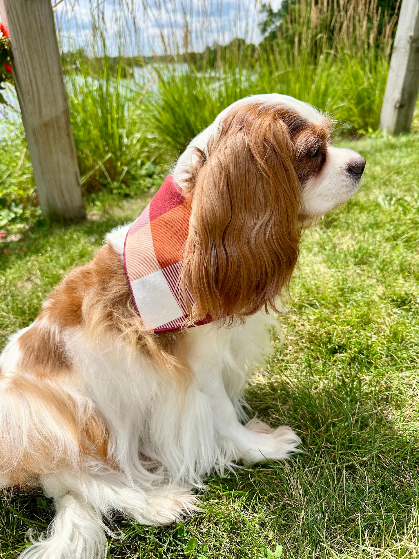 Pumpkin Patch Plaid Dog Bandana