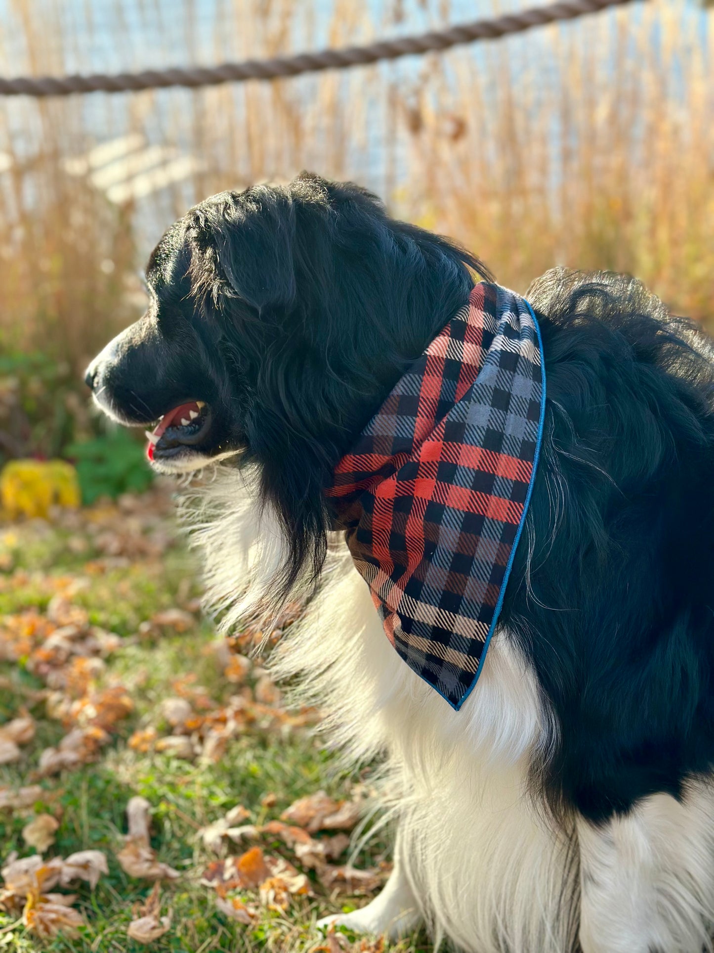 Autumn Harvest Plaid Dog Bandana