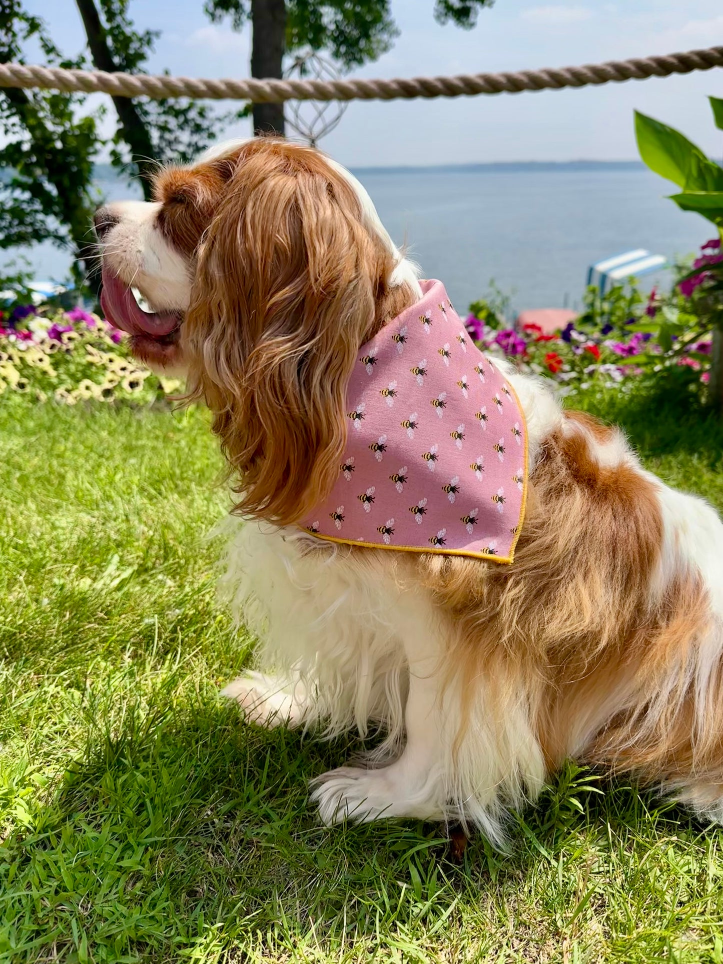Busy Bee Dog Bandana | Gold Hem