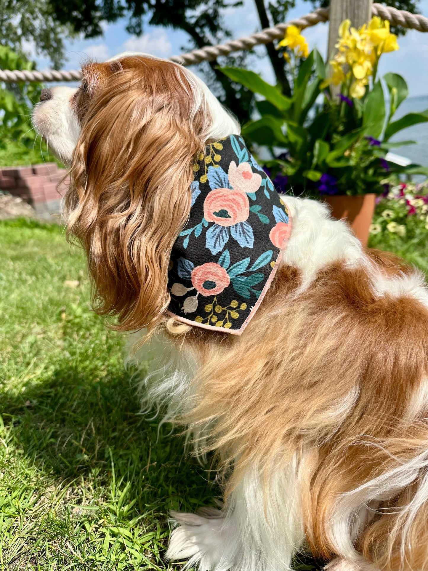 Midnight Garden Dog Bandana