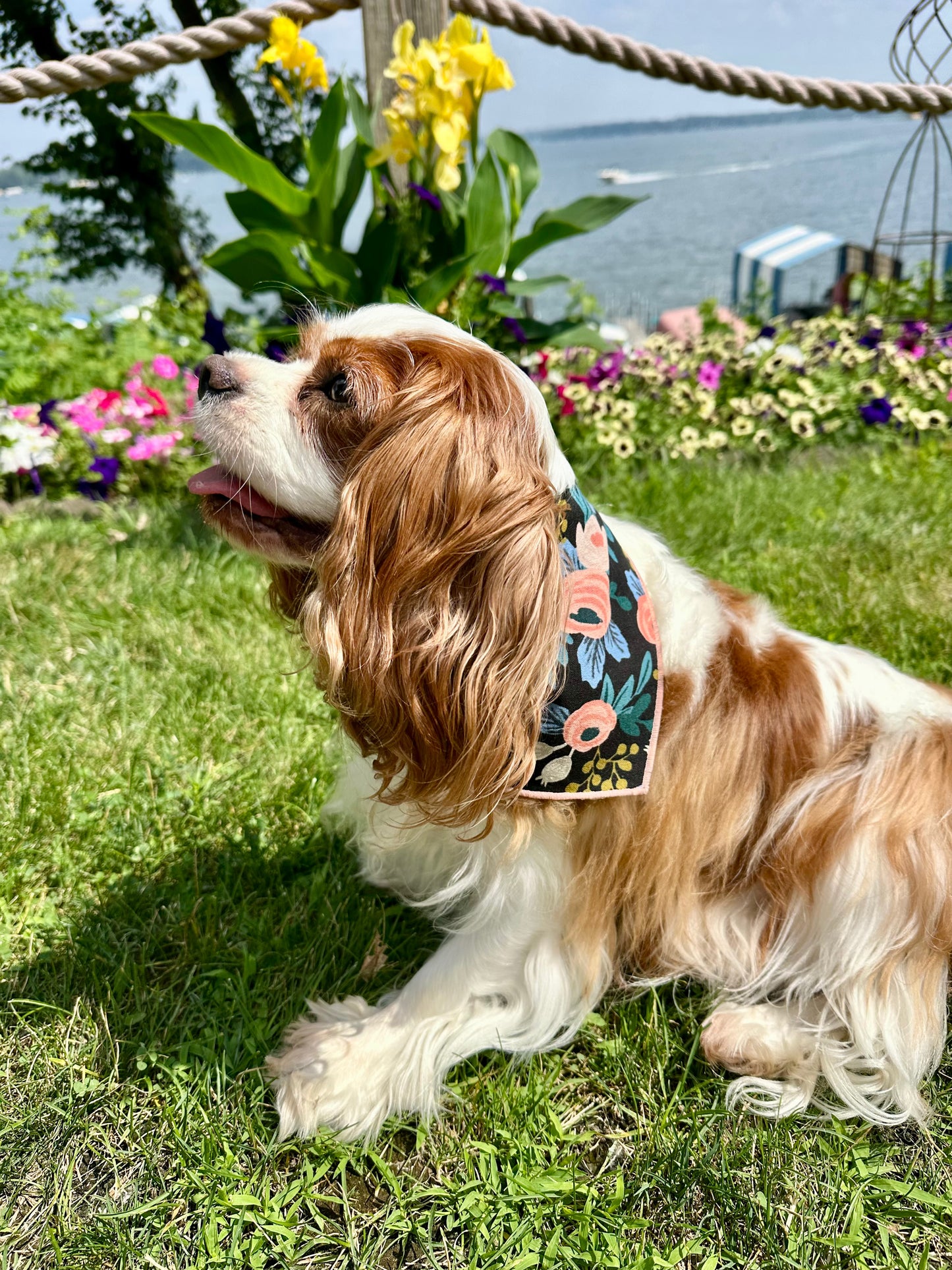 Midnight Garden Dog Bandana