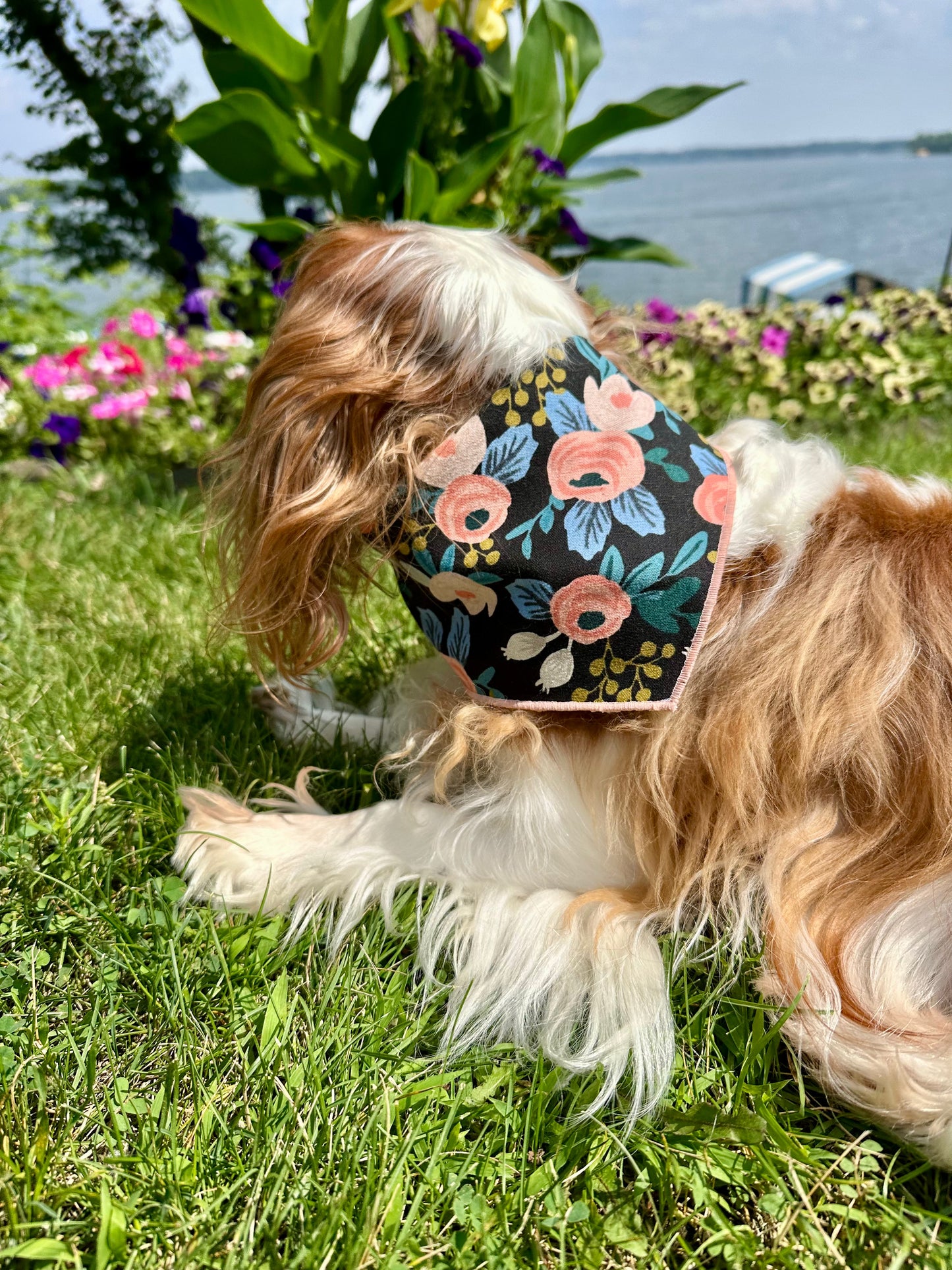 Midnight Garden Dog Bandana