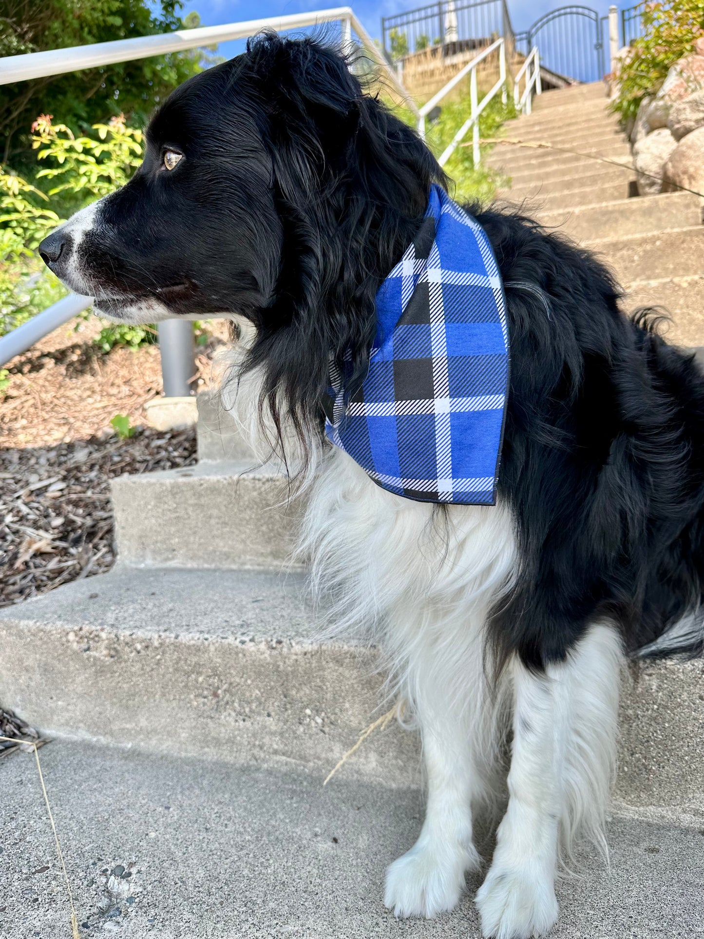 Blueberry Pie Plaid Dog Bandana