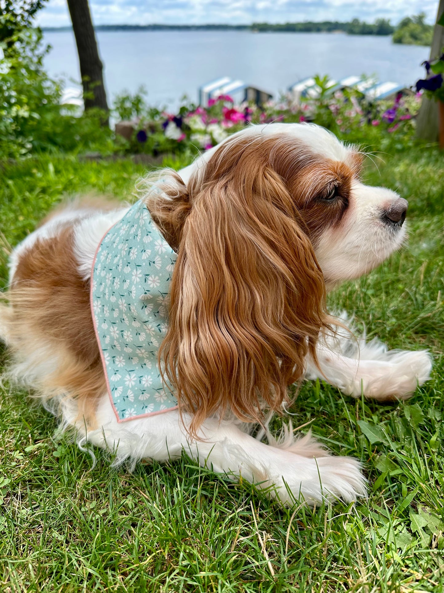 Meadow Bloom Dog Bandana
