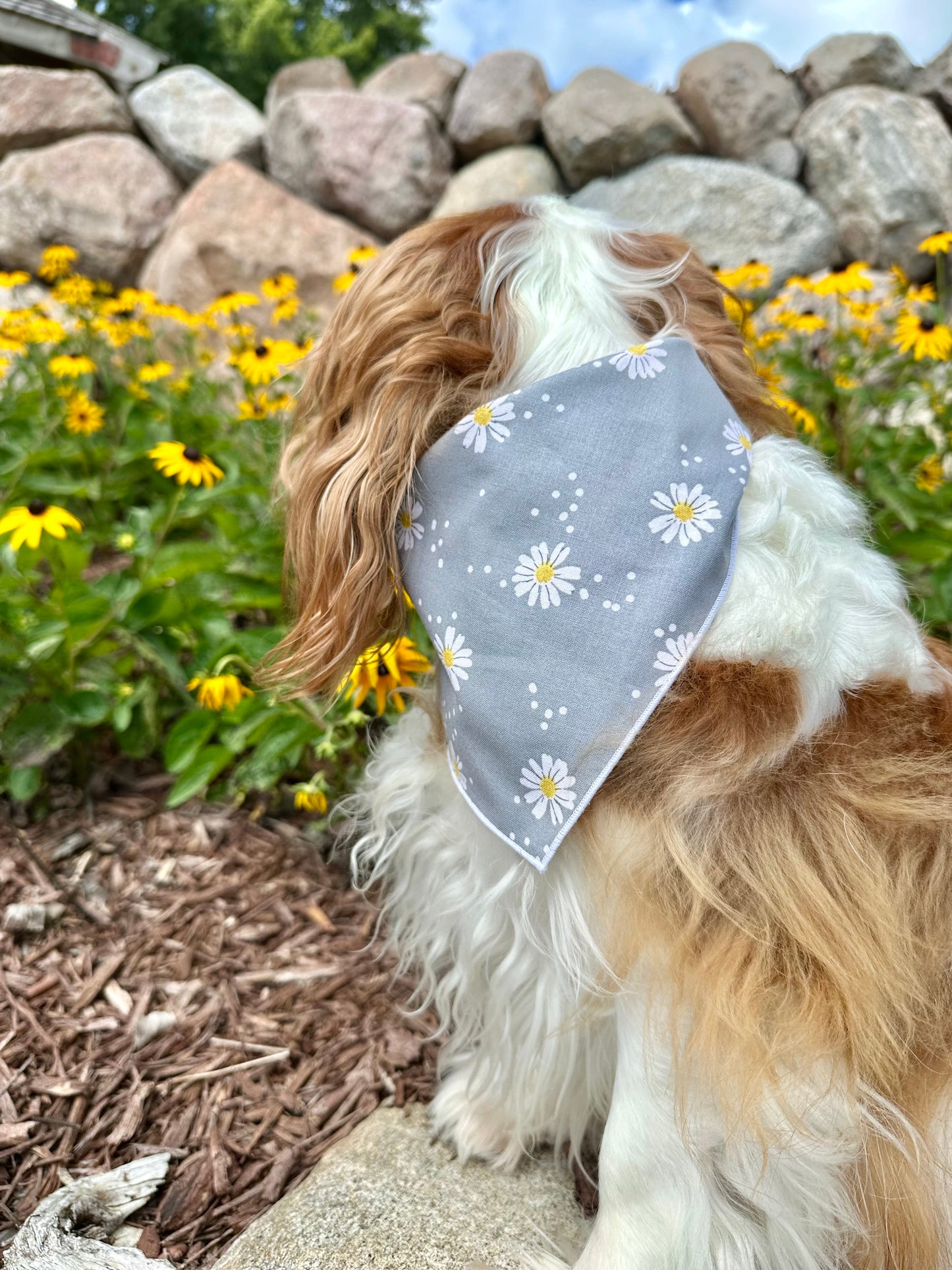 Daisy Days Dog Bandana