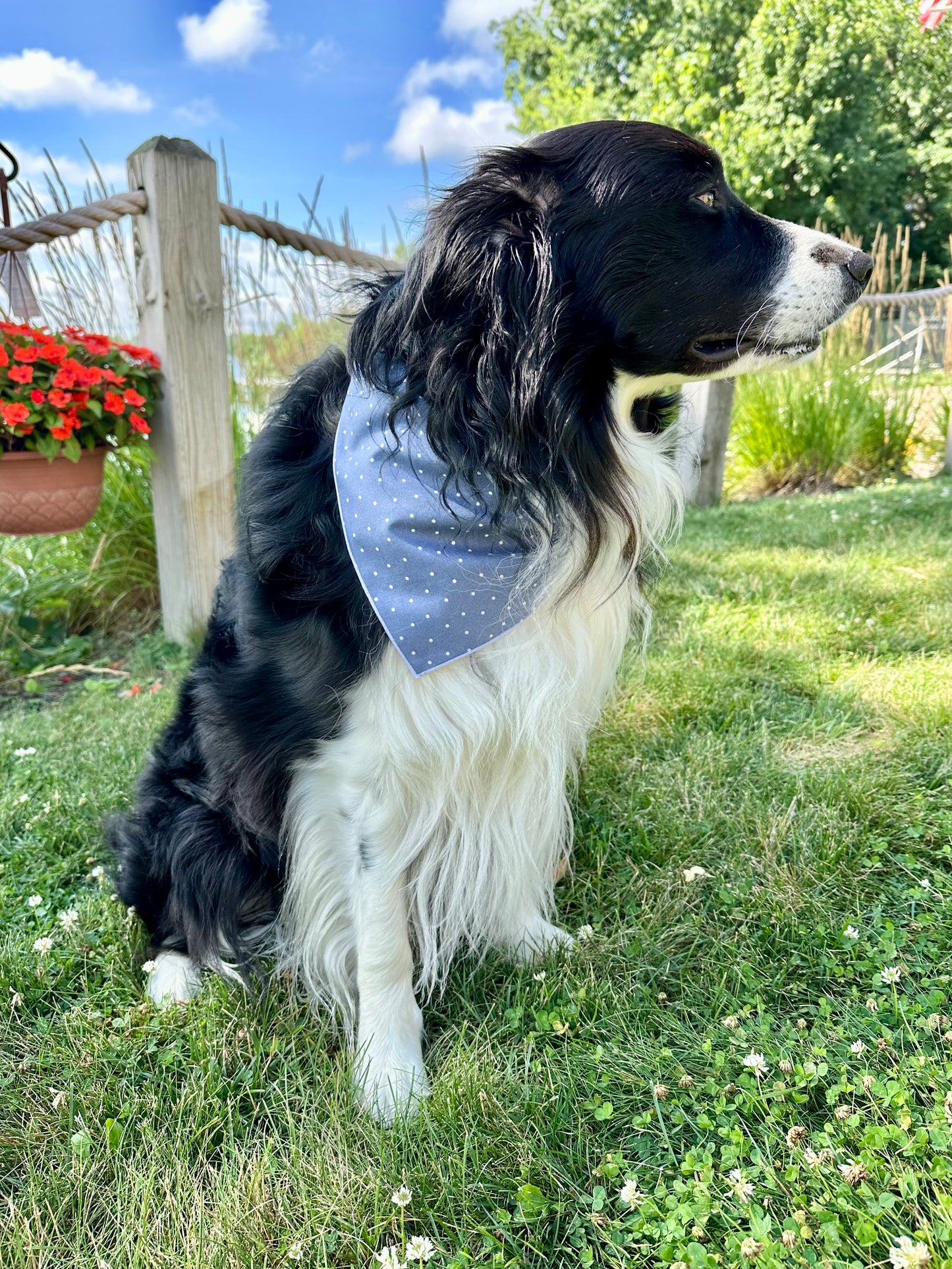 Preppy Pup Polka Dot Dog Bandana