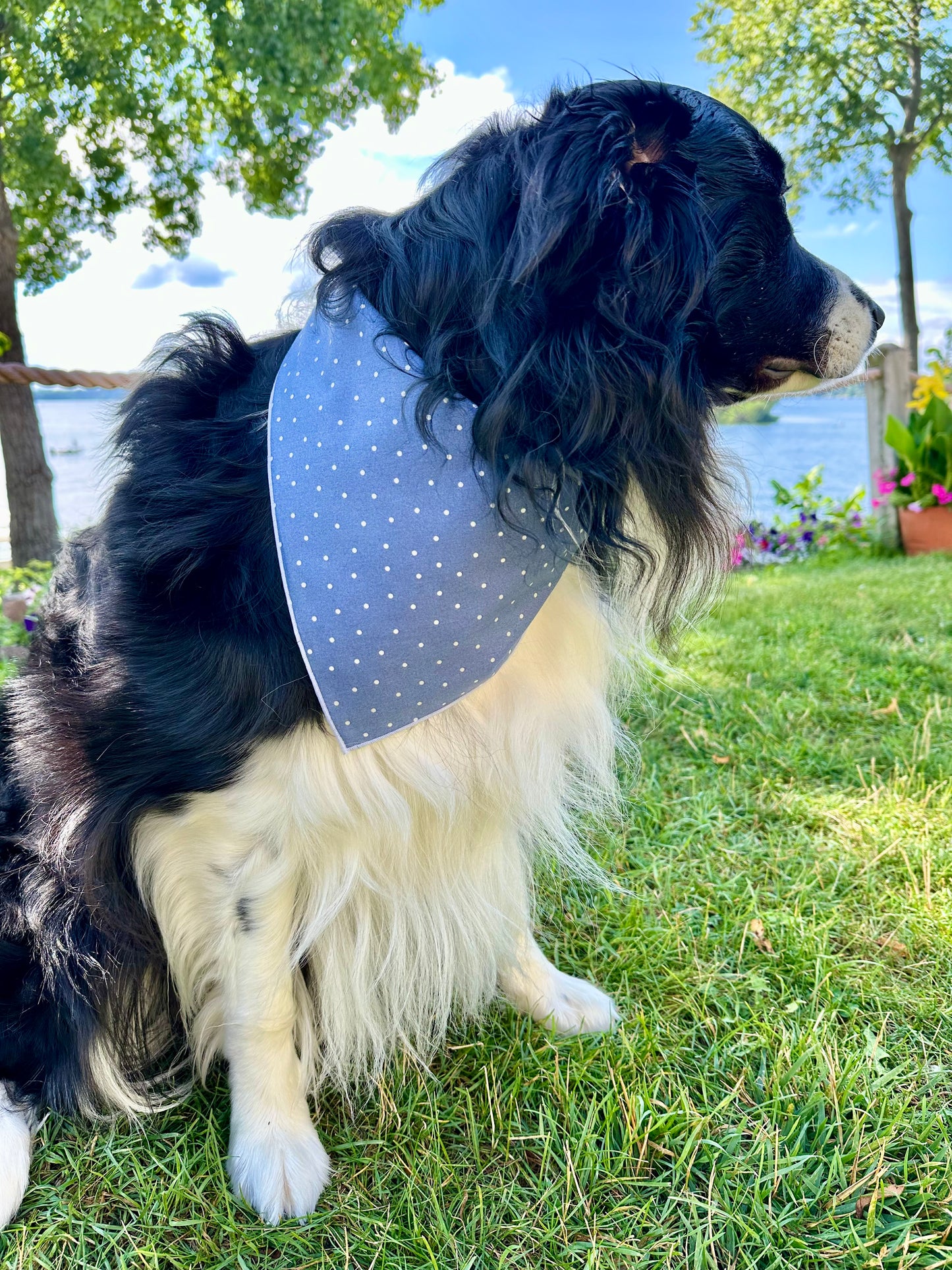 Preppy Pup Polka Dot Dog Bandana