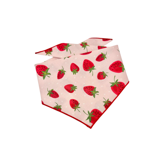 Strawberry Fields Dog Bandana